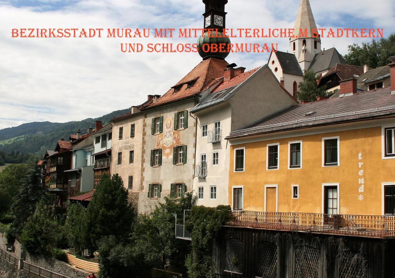 Fewo Gabi Haus Pacher Sankt Peter am Kammersberg Luaran gambar