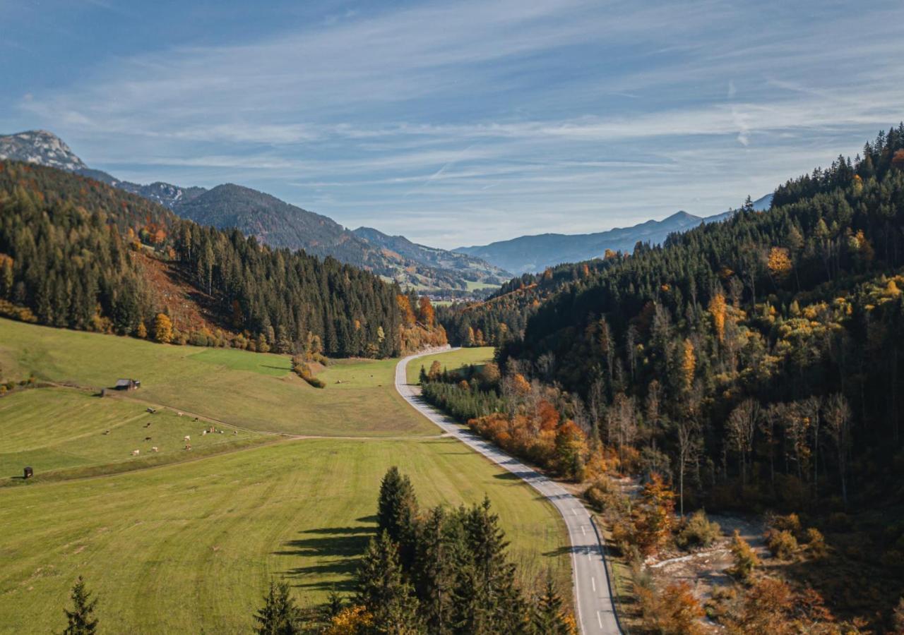 Fewo Gabi Haus Pacher Sankt Peter am Kammersberg Luaran gambar