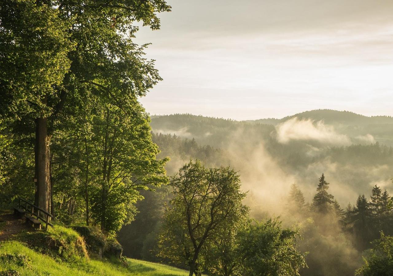 Fewo Gabi Haus Pacher Sankt Peter am Kammersberg Luaran gambar