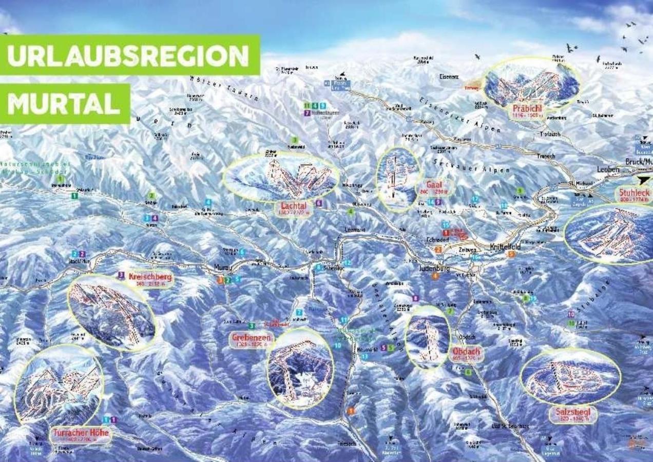 Fewo Gabi Haus Pacher Sankt Peter am Kammersberg Luaran gambar